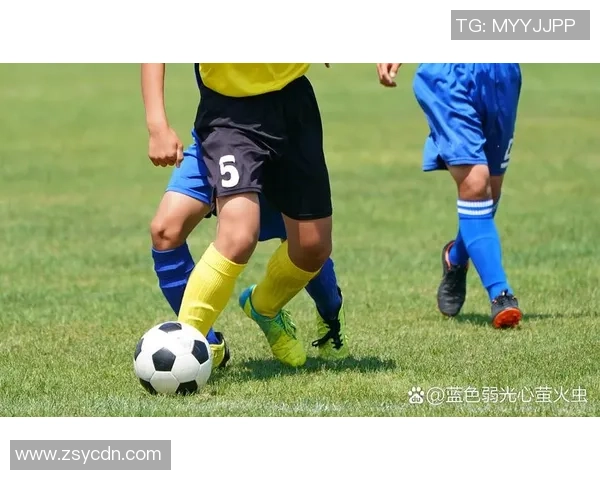 世纪公园足球场周边活动丰富多彩体验足球魅力与休闲乐趣的完美结合